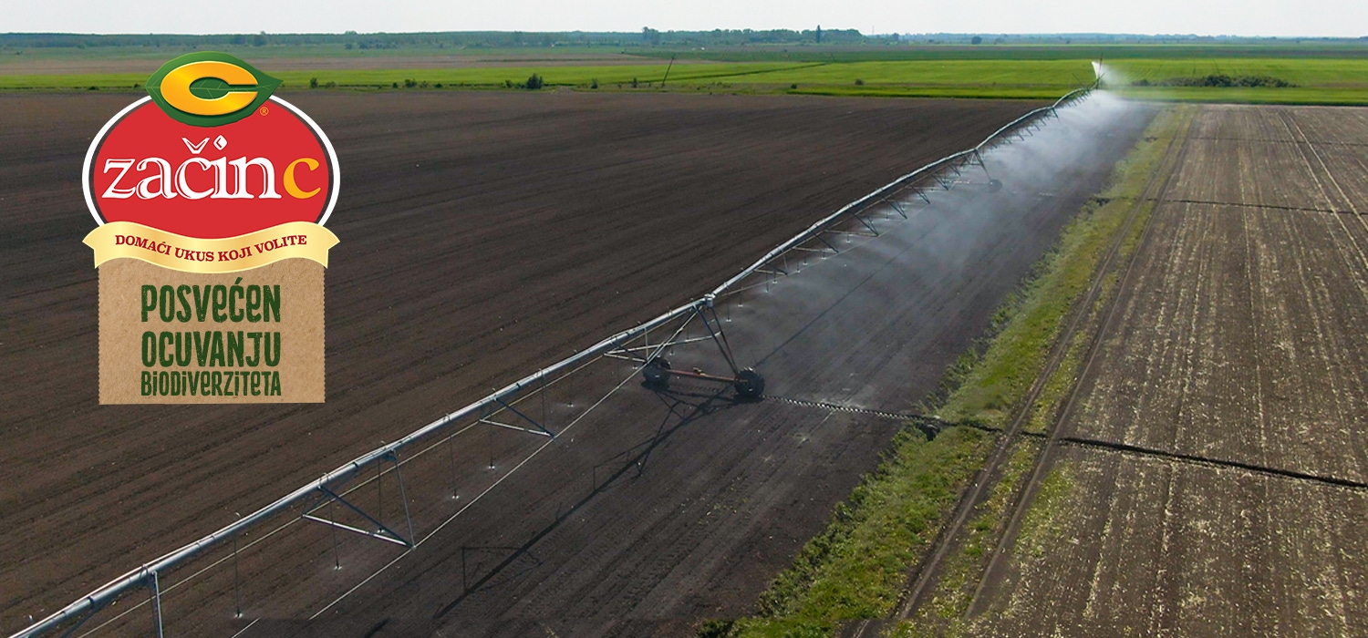 The field is being watered.