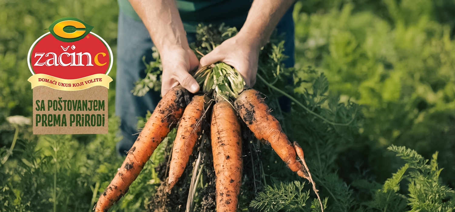 A carrot in the ground in a person's hand.